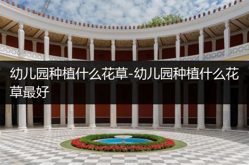 幼儿园种植什么花草-幼儿园种植什么花草最好