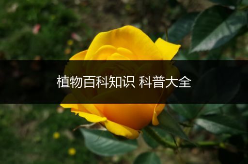 植物百科知识 科普大全
