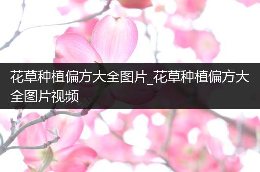 花草种植偏方大全图片_花草种植偏方大全图片视频