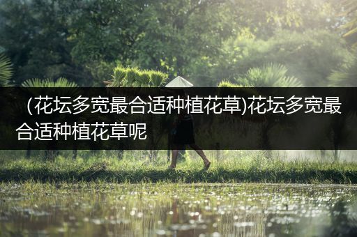 （花坛多宽最合适种植花草)花坛多宽最合适种植花草呢