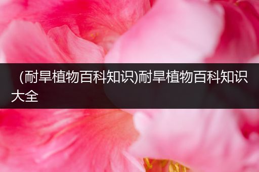 （耐旱植物百科知识)耐旱植物百科知识大全