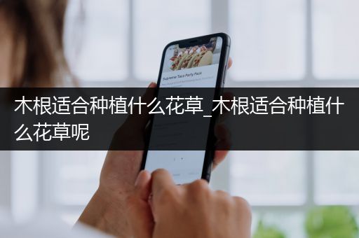 木根适合种植什么花草_木根适合种植什么花草呢