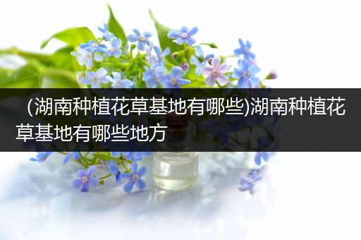 （湖南种植花草基地有哪些)湖南种植花草基地有哪些地方