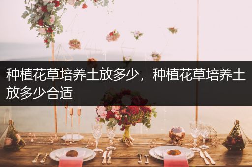 种植花草培养土放多少，种植花草培养土放多少合适