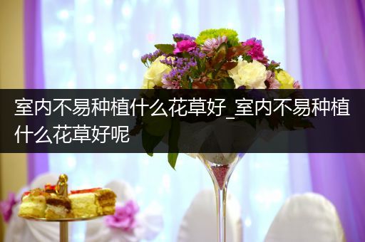 室内不易种植什么花草好_室内不易种植什么花草好呢