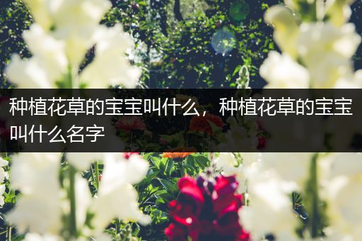 种植花草的宝宝叫什么，种植花草的宝宝叫什么名字