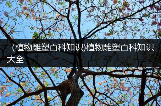 （植物雕塑百科知识)植物雕塑百科知识大全