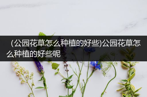 （公园花草怎么种植的好些)公园花草怎么种植的好些呢