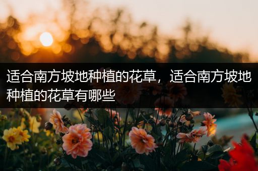 适合南方坡地种植的花草，适合南方坡地种植的花草有哪些