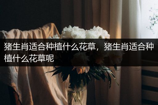猪生肖适合种植什么花草，猪生肖适合种植什么花草呢