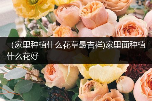 （家里种植什么花草最吉祥)家里面种植什么花好