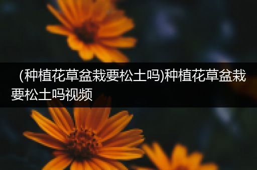 （种植花草盆栽要松土吗)种植花草盆栽要松土吗视频