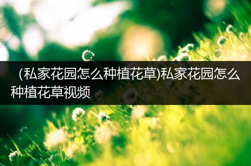 （私家花园怎么种植花草)私家花园怎么种植花草视频