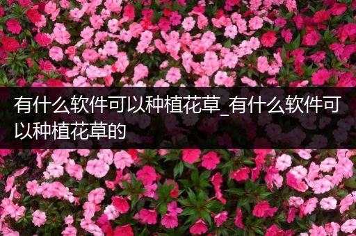 有什么软件可以种植花草_有什么软件可以种植花草的