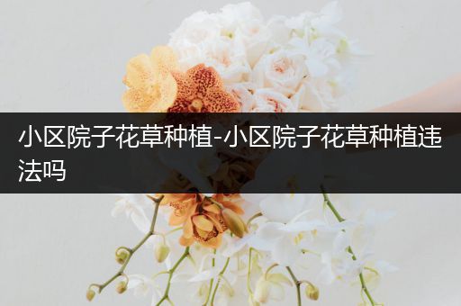 小区院子花草种植-小区院子花草种植违法吗