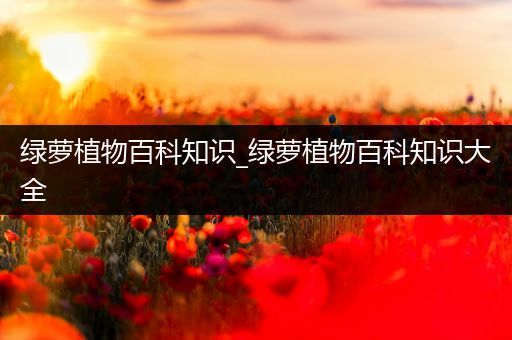 绿萝植物百科知识_绿萝植物百科知识大全