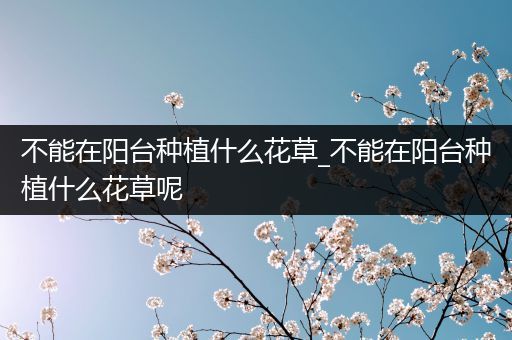 不能在阳台种植什么花草_不能在阳台种植什么花草呢
