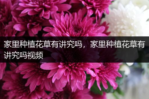 家里种植花草有讲究吗，家里种植花草有讲究吗视频