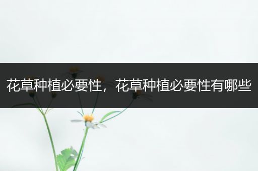 花草种植必要性，花草种植必要性有哪些