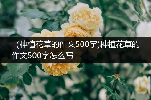 （种植花草的作文500字)种植花草的作文500字怎么写