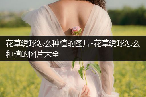 花草绣球怎么种植的图片-花草绣球怎么种植的图片大全