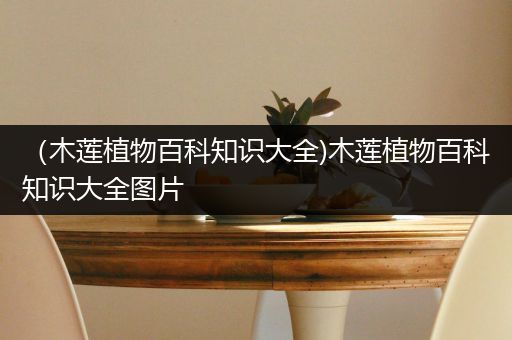 （木莲植物百科知识大全)木莲植物百科知识大全图片