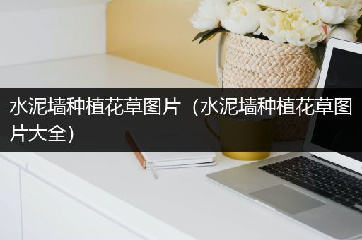 水泥墙种植花草图片（水泥墙种植花草图片大全）