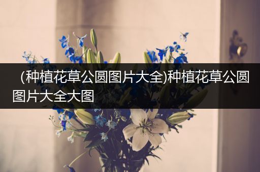 （种植花草公圆图片大全)种植花草公圆图片大全大图