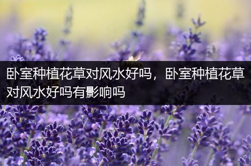 卧室种植花草对风水好吗，卧室种植花草对风水好吗有影响吗