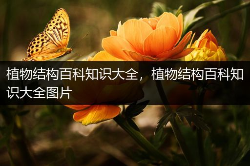 植物结构百科知识大全，植物结构百科知识大全图片