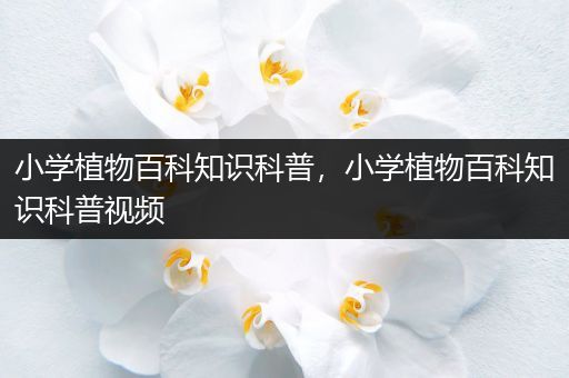 小学植物百科知识科普，小学植物百科知识科普视频