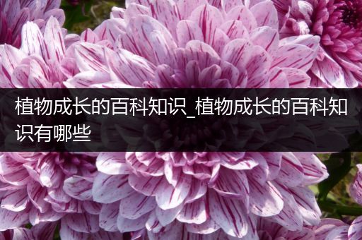 植物成长的百科知识_植物成长的百科知识有哪些
