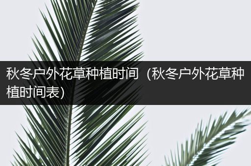 秋冬户外花草种植时间（秋冬户外花草种植时间表）