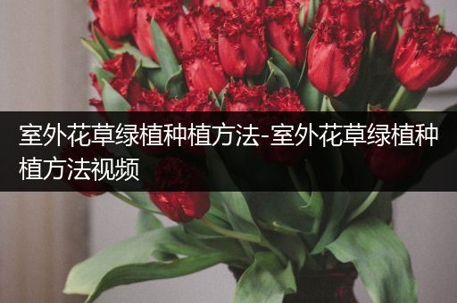 室外花草绿植种植方法-室外花草绿植种植方法视频