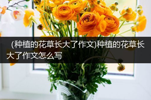 （种植的花草长大了作文)种植的花草长大了作文怎么写