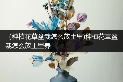 （种植花草盆栽怎么放土里)种植花草盆栽怎么放土里养