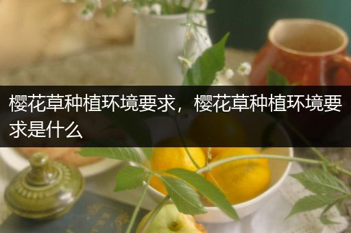 樱花草种植环境要求，樱花草种植环境要求是什么