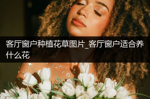 客厅窗户种植花草图片_客厅窗户适合养什么花