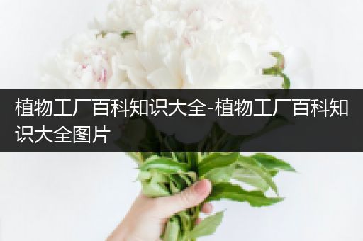 植物工厂百科知识大全-植物工厂百科知识大全图片