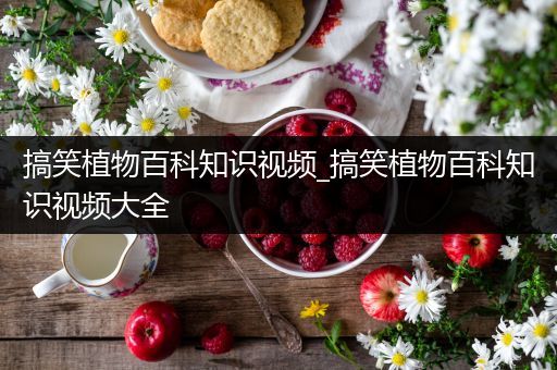 搞笑植物百科知识视频_搞笑植物百科知识视频大全