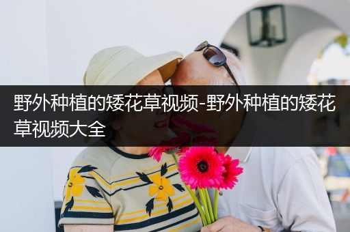 野外种植的矮花草视频-野外种植的矮花草视频大全