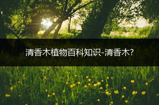 清香木植物百科知识-清香木?