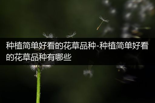 种植简单好看的花草品种-种植简单好看的花草品种有哪些
