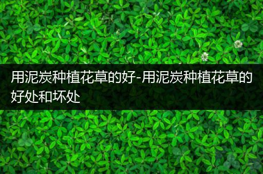 用泥炭种植花草的好-用泥炭种植花草的好处和坏处