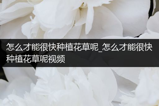 怎么才能很快种植花草呢_怎么才能很快种植花草呢视频