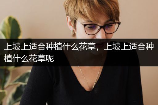 上坡上适合种植什么花草，上坡上适合种植什么花草呢