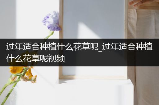 过年适合种植什么花草呢_过年适合种植什么花草呢视频