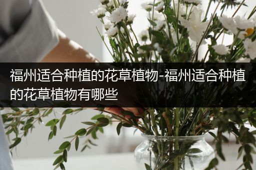 福州适合种植的花草植物-福州适合种植的花草植物有哪些