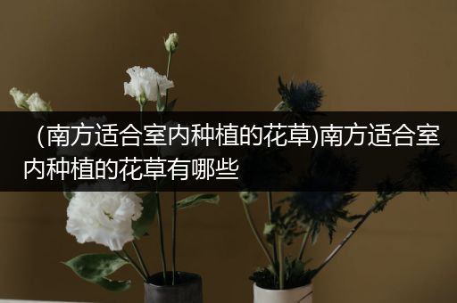 （南方适合室内种植的花草)南方适合室内种植的花草有哪些