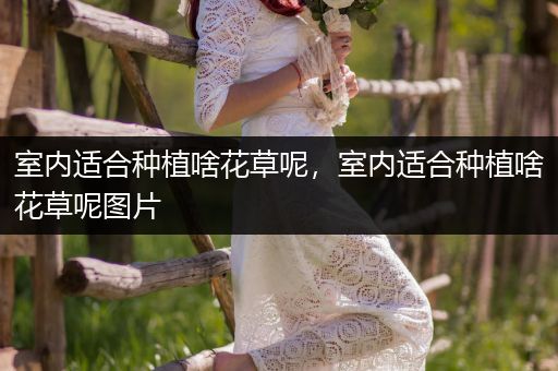 室内适合种植啥花草呢，室内适合种植啥花草呢图片